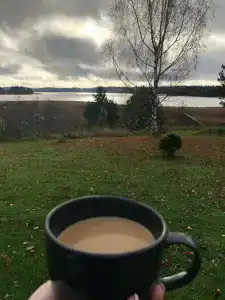 Ярви Хаус - 17