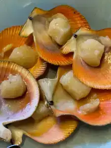 Гармония Севера - 77