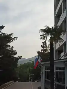 Дружба - 52
