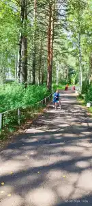 Бузим Красноярск - 64