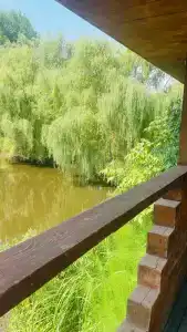 Лукоморье - 0