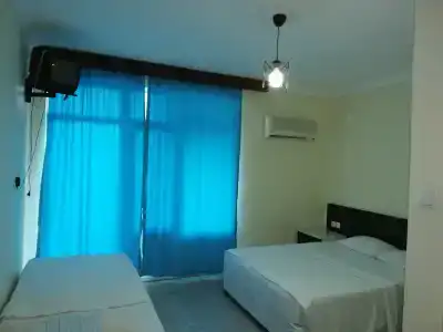 Delphin Side - 4