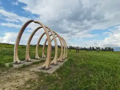 Золотой Город - 24