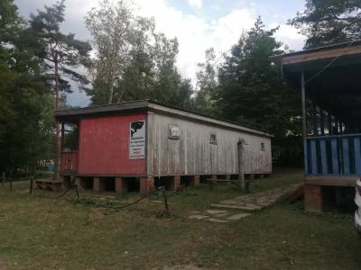 Родничок - 43