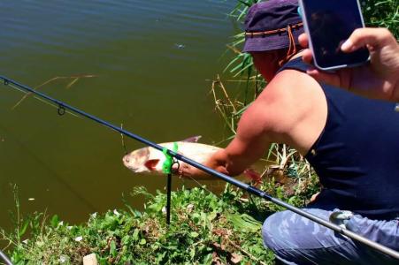 Монахов пруд - 39