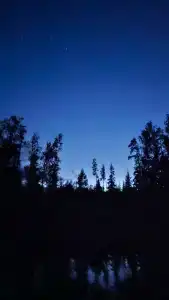 Глушь - 19