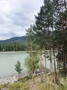 Михай да Марья - 32