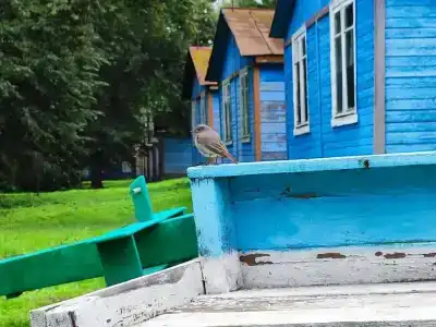 Хорошевка - 18