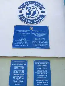 5 колец - 96