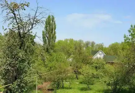 Домнареке - 49