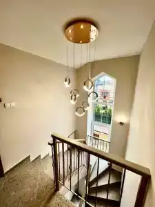 Белый лотос - 11