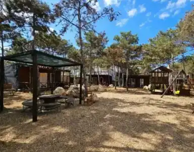 Песчаный берег - 43