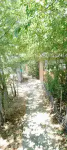 База отдыха у Викторовича - 61