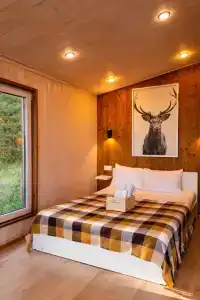 База отдыха на опушке - 32