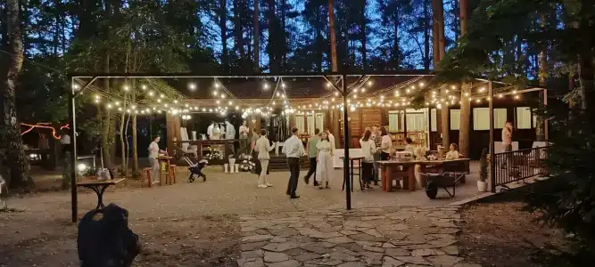 Лесная поляна - 1