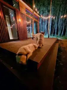 Парк Север - 20