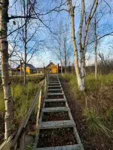 Деревня - 12