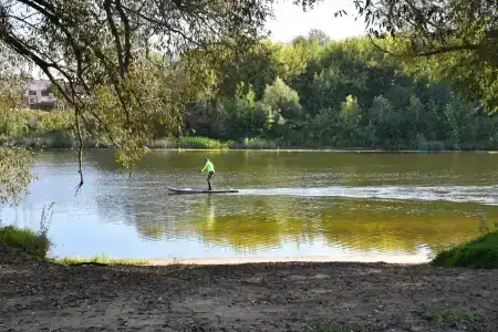 Своя волна - 12