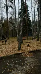 Парус - 57