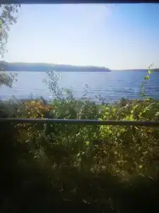 Лопотово - 80