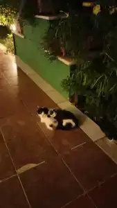 Galeri Resort - Ultra All Inclusive - 77