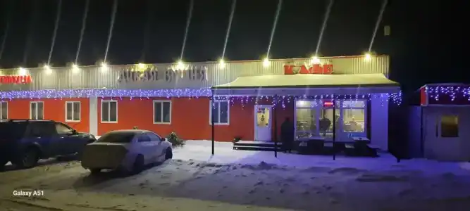 Дикая Вишня - 1
