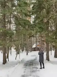 Тонус - 41