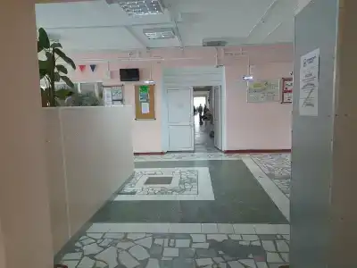 Кедр - 14
