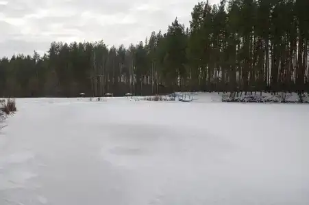 Серебряные ключи - 79