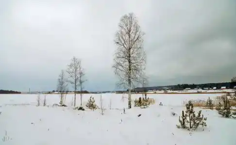 О'Берег - 41