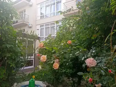 Санди - 38