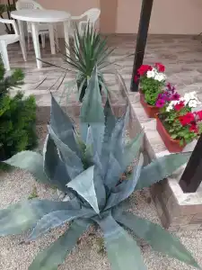 Мини-гостиница Гавайи - 54