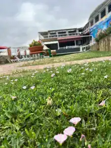 Планета лета - 17