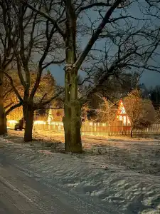 Алтун Хом - 31
