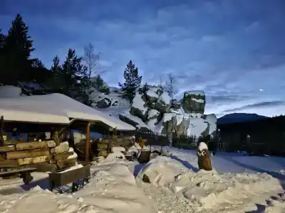 Тайга - 34