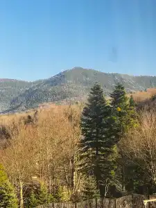 Гузерипль - 12
