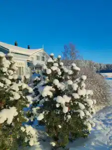 Ладожская Усадьба - 99