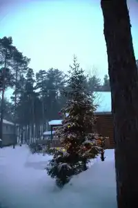 Разгуляево - 36