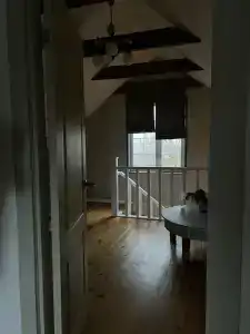 Пенеснарь - 74