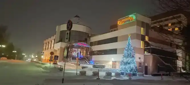 Кедровый Лог - 25