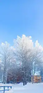 Чепца - 5