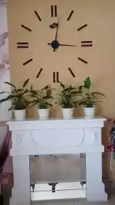 Черная Жемчужина - 52