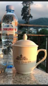 King David Bakuriani - 25