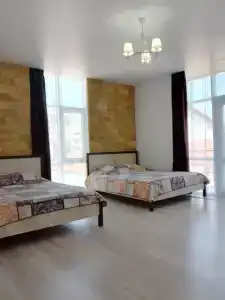 Вариант Омега - 63