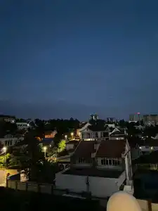 Виноград - 40