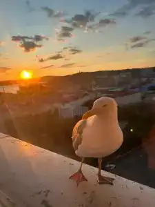 Меридиан - 20