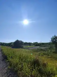 Дом у заповедника - 19