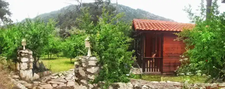 Koala Bungalows - 39