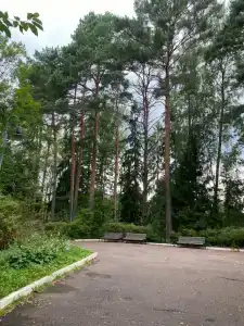 Лопотово - 15