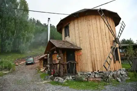 Тайга - 20